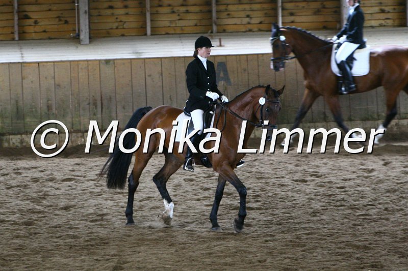 006M4797_Dressur A.JPG